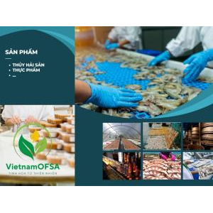 Chính Thức Ra Mắt VietnamOFSA.vn – Nền Tảng Thương Mại Điện Tử Cho Nông Sản Xanh
