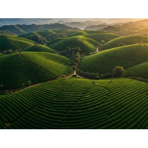Chính Thức Ra Mắt VietnamOFSA.vn – Nền Tảng Thương Mại Điện Tử Cho Nông Sản Xanh