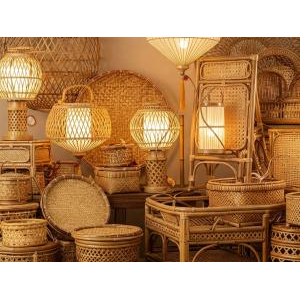 Chính Thức Ra Mắt VietnamOFSA.vn – Nền Tảng Thương Mại Điện Tử Cho Nông Sản Xanh